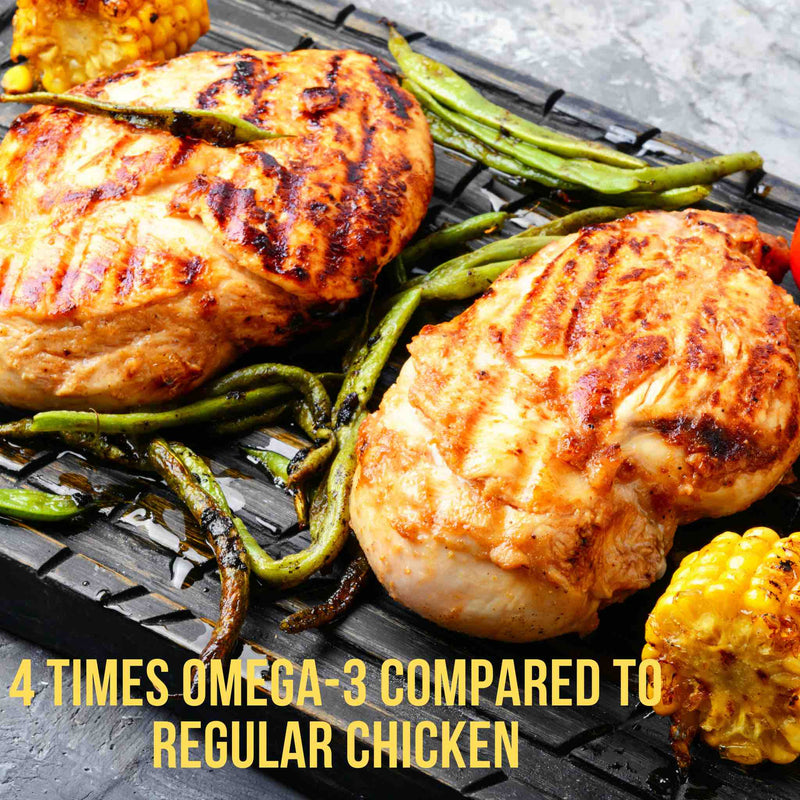 Zabiha Halal Omega-3 Whole Chicken - 1